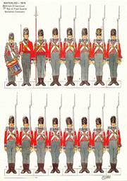 Uniformes Britanicos - 1 St  Regimiento of foot Guards - Compañia del Batallon en formación - Waterloo 1815