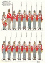 33 Rd Regimiento of foot - 1 St Yorkshire West Riding - Compañia del Batallon - Waterloo 1815