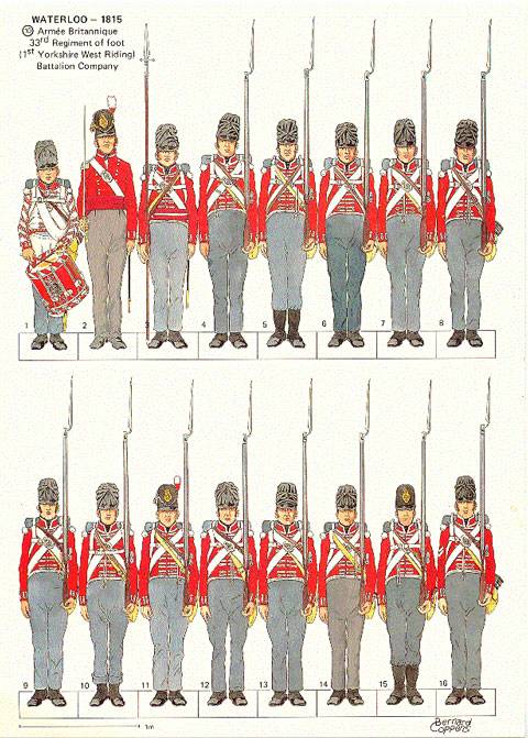 33 Rd Regimiento of foot - 1 St Yorkshire West Riding - Compañia del Batallon - Waterloo 1815