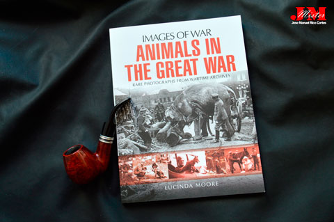"Animals in the Great War" (Animales  en la Gran Guerra)