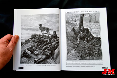 "Animals in the Great War" (Animales  en la Gran Guerra)