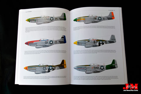 FlightCraft 19 - North American Aviation P-51 Mustang