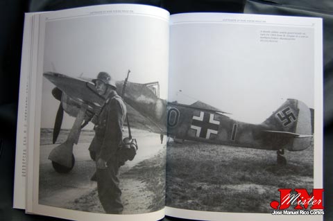 "Focke Wulf 190: The Birth of the Butcher Bird 1939–1945" (Focke Wulf 190: El nacimiento del Pájaro Carnicero  1939-1945)