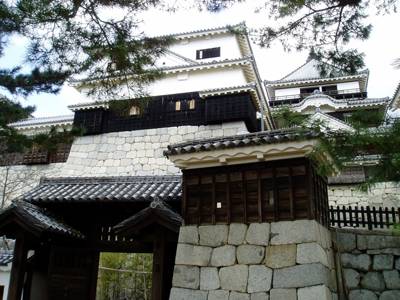 Imagen real del Castillo Matsuyama 2