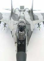 MiG-29 Fulcrum - Escala 1/48