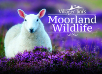 "Villager Jim Moorland Wildlife" (La Fauna Salvaje de los Páramos de Villager Jim)