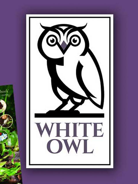White Owl Books