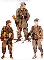 Unidades de Voluntarios de las Waffen-SS