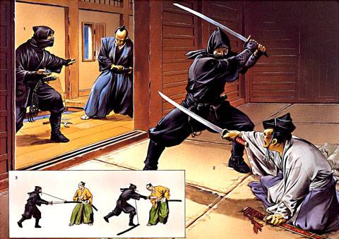 Por ese motivo preferían contratar a ninjas, que generalmente procedían de clases sociales bajas, para que realizaran ese tipo de trabajos.