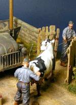 tripulacion del vehículo aleman encerrando a una vaca que estorba el paso del camino